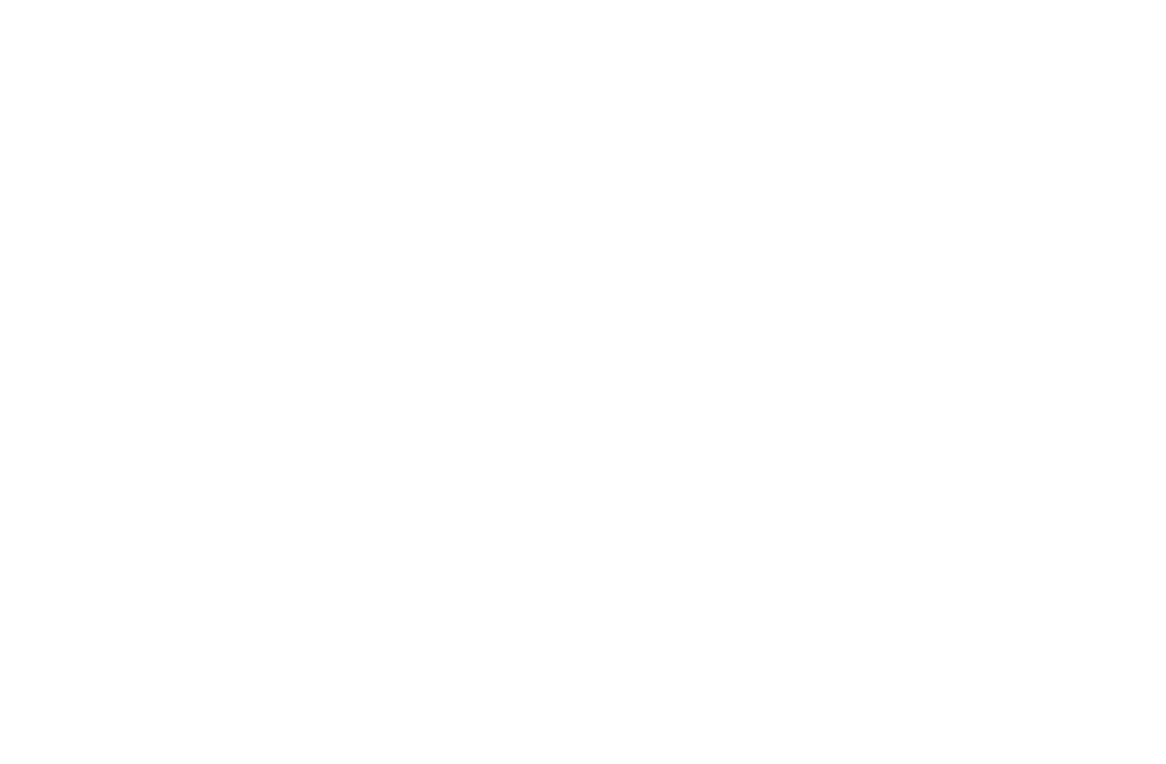 Diego Logo