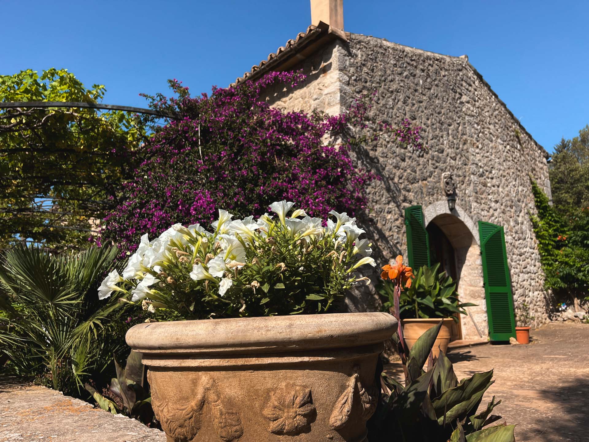 Your_Finca_Mallorca_Prachtig_vakantiehuis_met_uitzicht_in_de_bergen_bij_Valldemossa_Chopin_3_web