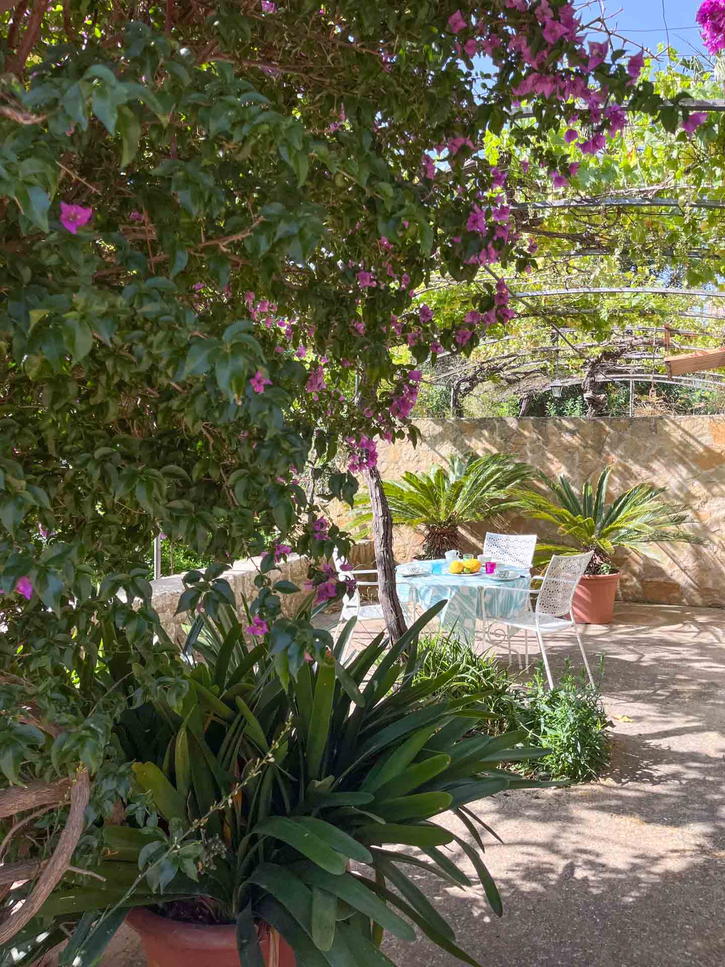 Your_Finca_Mallorca_prachtig_vakantiehuis_met_uitzicht_in_de_bergen_bij_valldemossa_chopin