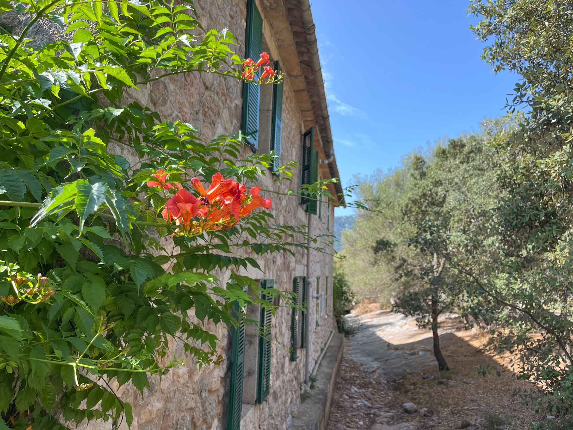 Your_Finca_Mallorca_prachtig_vakantiehuis_met_uitzicht_in_de_bergen_bij_valldemossa_chopin-13