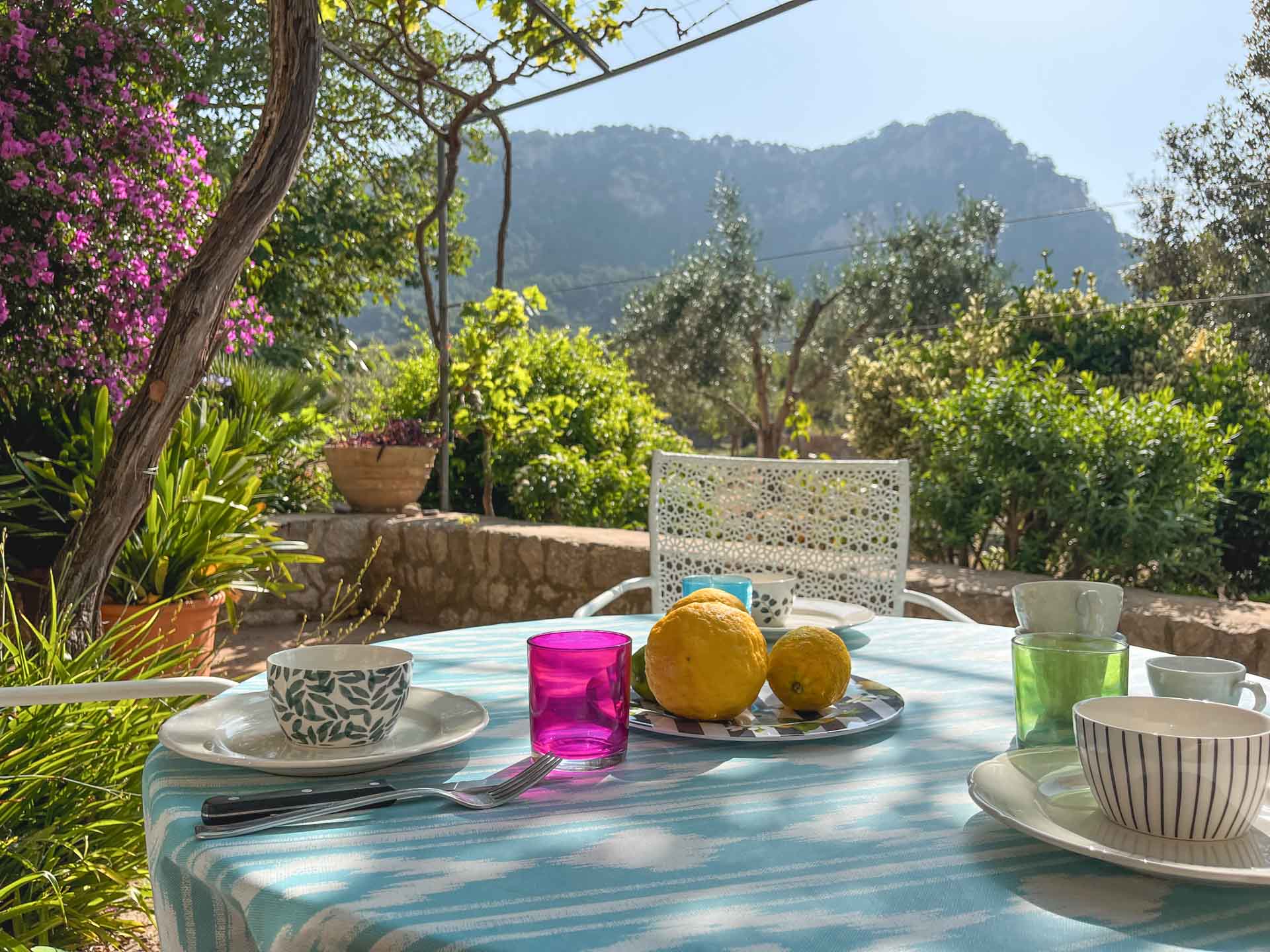 Your_Finca_Mallorca_prachtig_vakantiehuis_met_uitzicht_in_de_bergen_bij_valldemossa_chopin-2