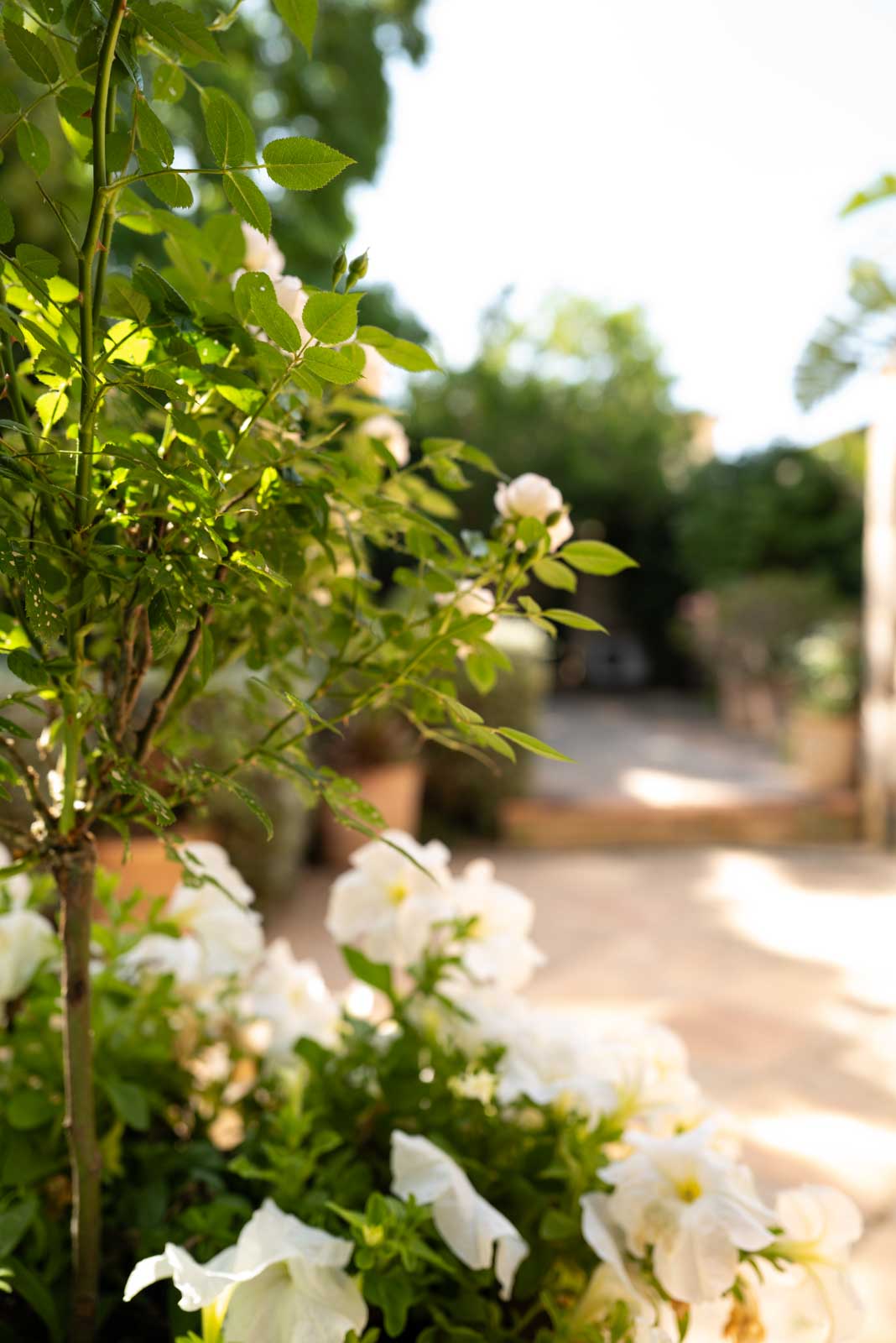 Your_Finca_Mallorca_stijlvol_dorpshuis_hart_van_Petra_finca_Can_casta_22_web