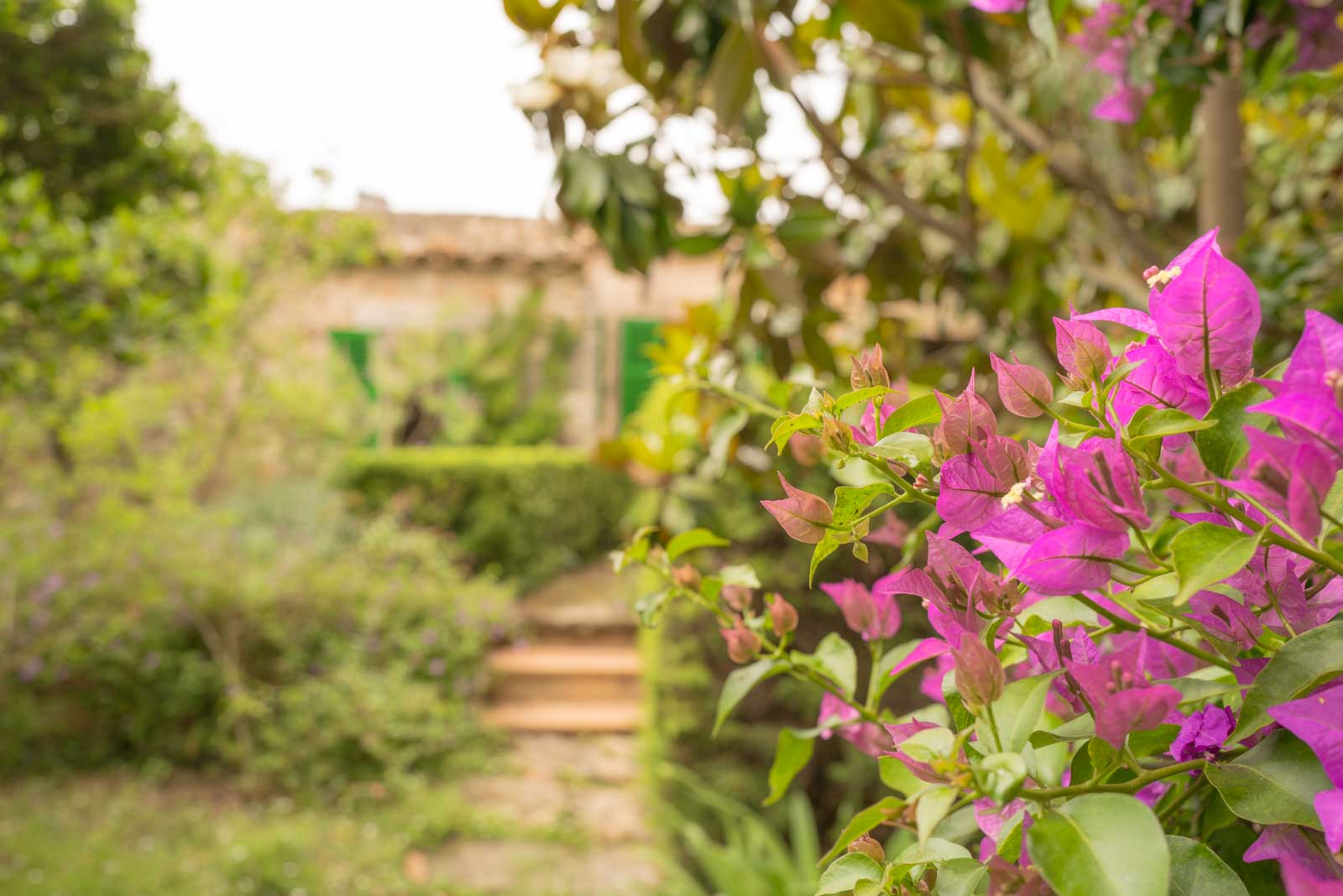 Your_Finca_Mallorca_stijlvol_dorpshuis_hart_van_Petra_finca_Can_casta_31_web