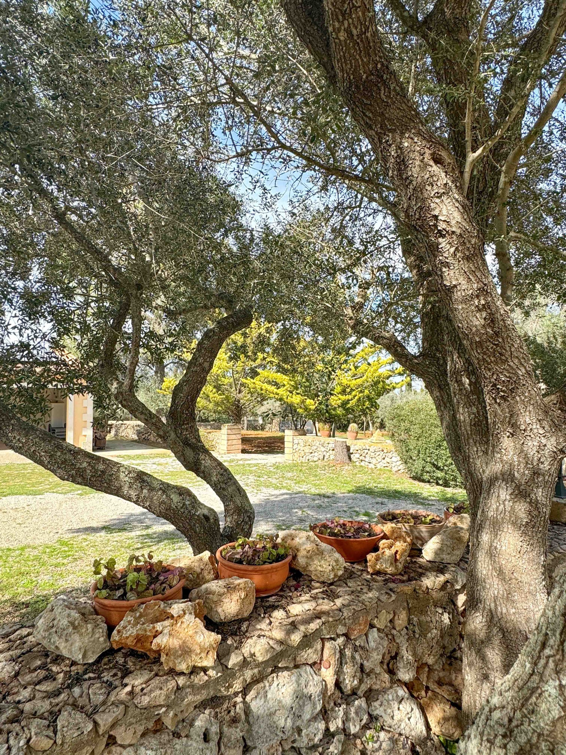 Your_Finca_Mallorca_moderne_villa_met_zwembad_en_grote_tuin_in_lloret_de_vistalegre_son_bielo_17_web