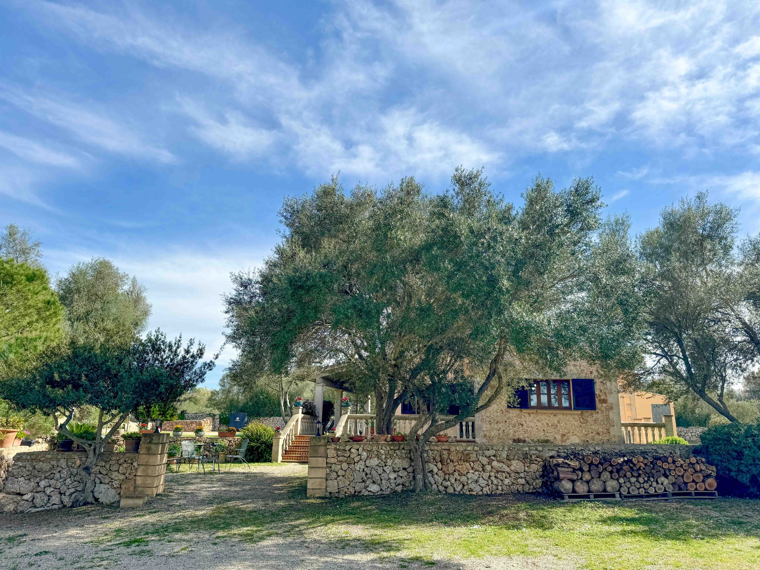 Your_Finca_Mallorca_moderne_villa_met_zwembad_en_grote_tuin_in_lloret_de_vistalegre_son_bielo_18_web